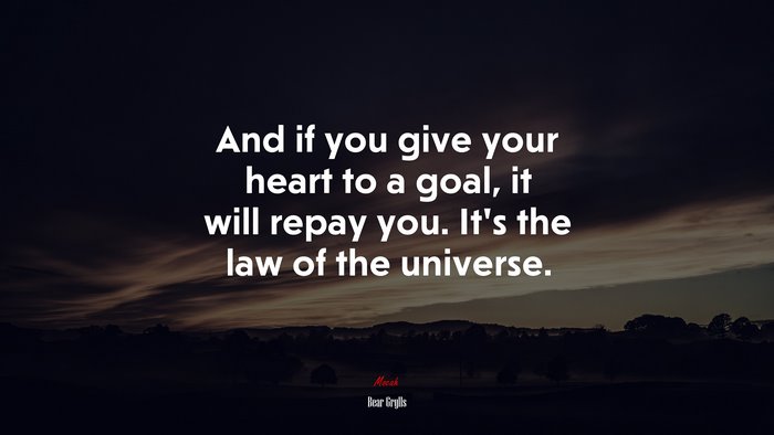 And if you give your heart to a goal, it will repay you. It’s the law of the universe. | Bear Grylls quote