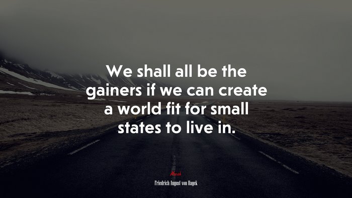We shall all be the gainers if we can create a world fit for small states to live in. | Friedrich August von Hayek quote