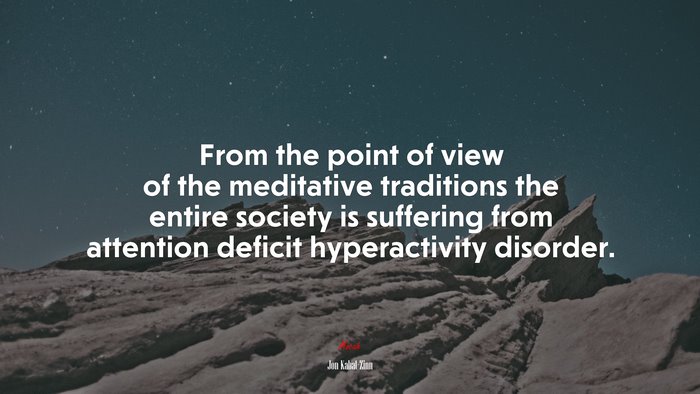 From the point of view of the meditative traditions the entire society is suffering from attention deficit hyperactivity disorder. | Jon Kabat-Zinn quote