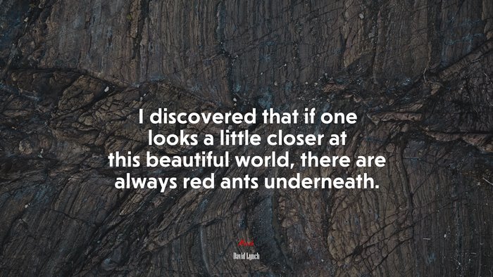 I discovered that if one looks a little closer at this beautiful world, there are always red ants underneath. | David Lynch quote