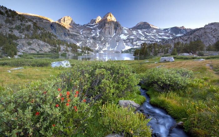 Mountain lake with wildflowers and stream at sunrise