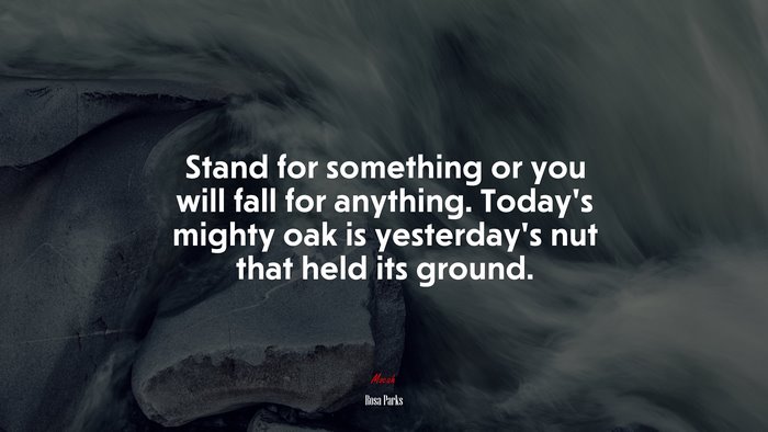 Stand for something or you will fall for anything. Today’s mighty oak is yesterday’s nut that held its ground. | Rosa Parks quote