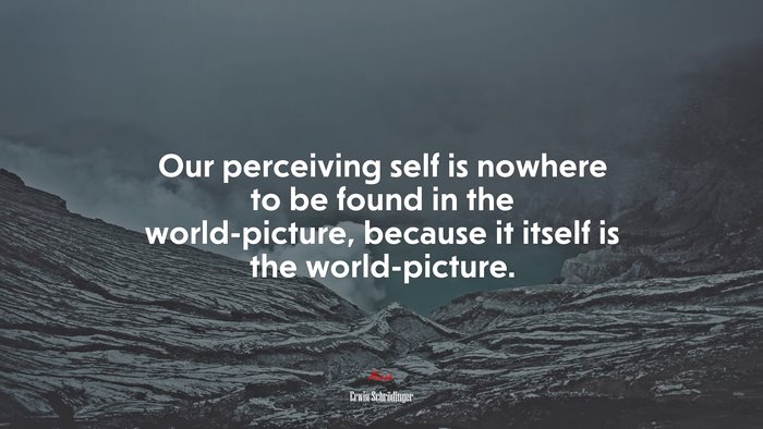 Our perceiving self is nowhere to be found in the world-picture, because it itself is the world-picture. | Erwin Schrödinger quote