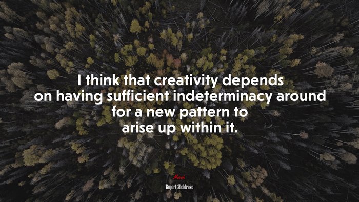I think that creativity depends on having sufficient indeterminacy around for a new pattern to arise up within it. | Rupert Sheldrake quote