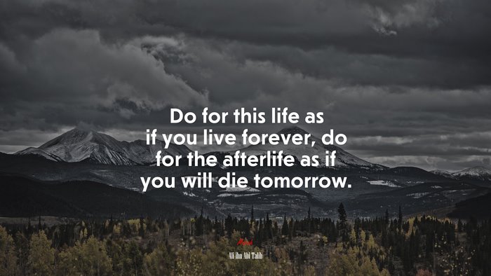 Do for this life as if you live forever, do for the afterlife as if you will die tomorrow. | Ali ibn Abi Talib quote