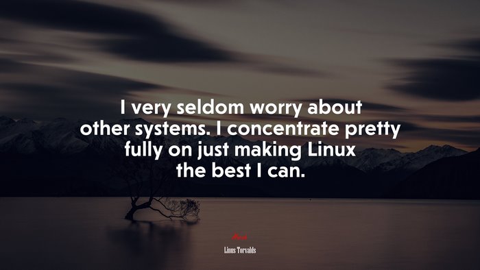 I very seldom worry about other systems. I concentrate pretty fully on just making Linux the best I can. | Linus Torvalds quote