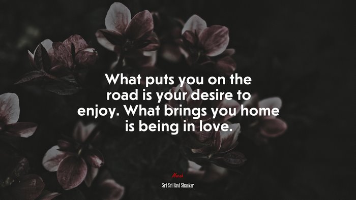 What puts you on the road is your desire to enjoy. What brings you home is being in love. | Sri Sri Ravi Shankar quote