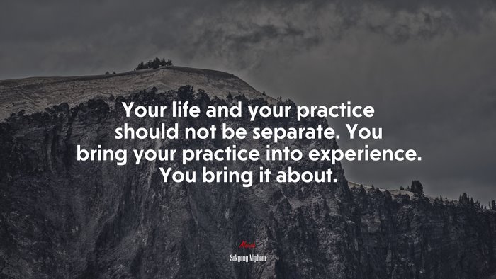 Your life and your practice should not be separate. You bring your practice into experience. You bring it about. | Sakyong Mipham quote