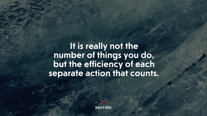 It is really not the number of things you do, but the efficiency of each separate action that counts. | Wallace D. Wattles quote