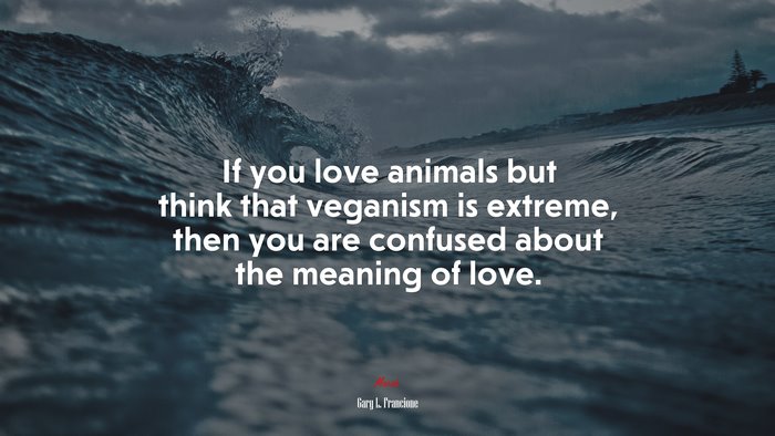 If you love animals but think that veganism is extreme, then you are confused about the meaning of love. | Gary L. Francione quote