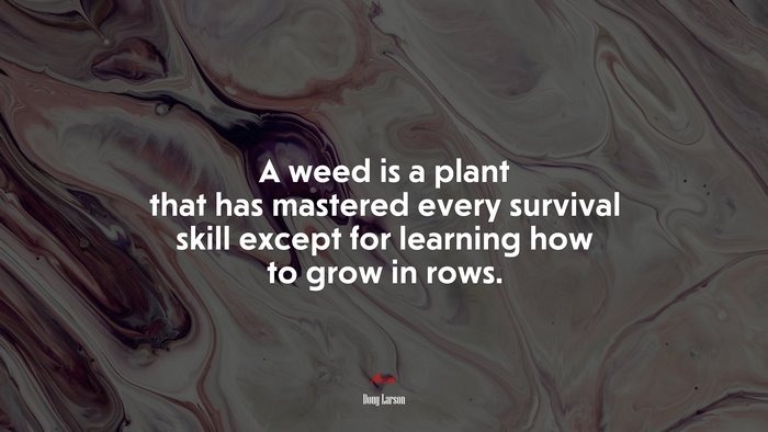 A weed is a plant that has mastered every survival skill except for learning how to grow in rows. | Doug Larson quote