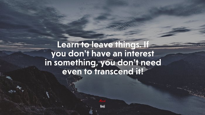 Learn to leave things. If you don’t have an interest in something, you don’t need even to transcend it! | Mooji quote