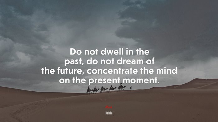 Do not dwell in the past, do not dream of the future, concentrate the mind on the present moment. | Buddha quote