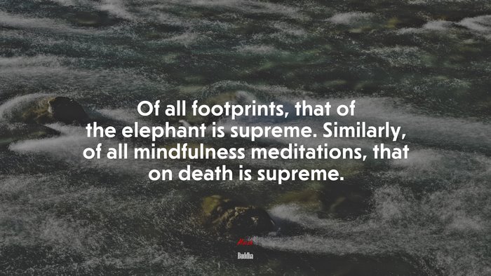 Of all footprints, that of the elephant is supreme. Similarly, of all mindfulness meditations, that on death is supreme. | Buddha quote