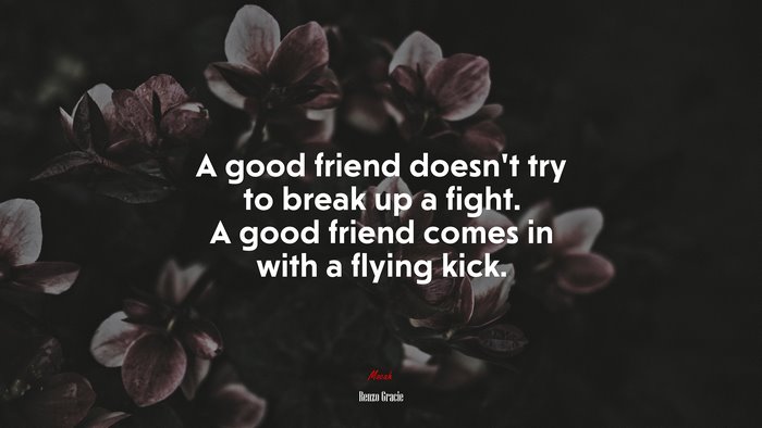 A good friend doesn’t try to break up a fight. A good friend comes in with a flying kick. | Renzo Gracie quote