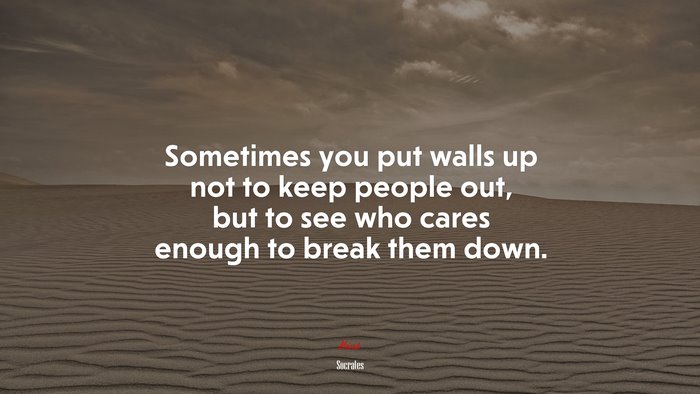 Sometimes you put walls up not to keep people out, but to see who cares enough to break them down. | Socrates quote