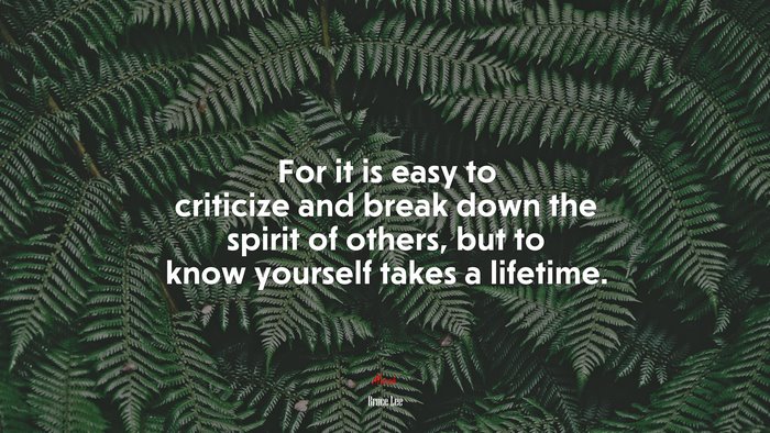 For it is easy to criticize and break down the spirit of others, but to know yourself takes a lifetime. | Bruce Lee quote