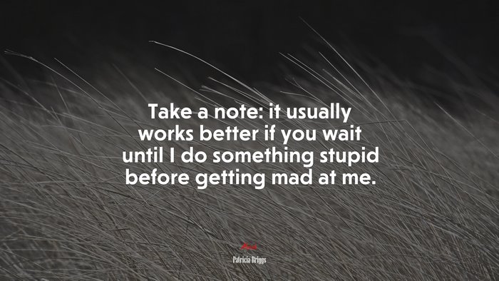Take a note: it usually works better if you wait until I do something stupid before getting mad at me. | Patricia Briggs quote