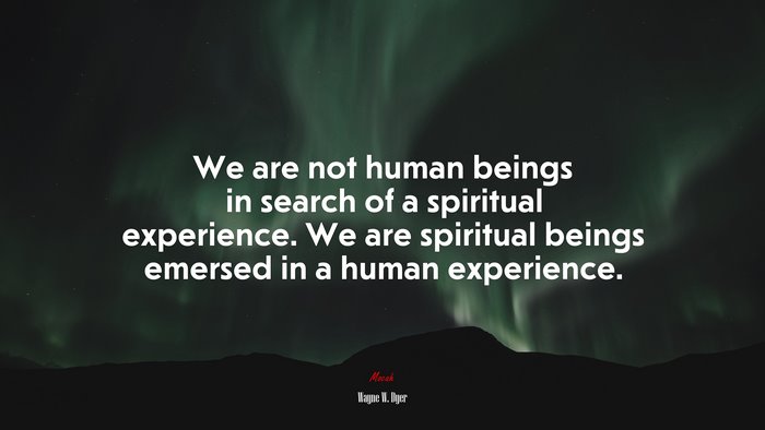 We are not human beings in search of a spiritual experience. We are spiritual beings emersed in a human experience. | Wayne W. Dyer quote
