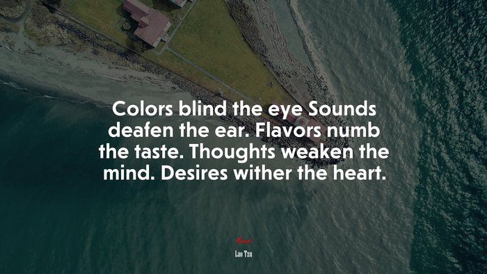 Colors blind the eye Sounds deafen the ear. Flavors numb the taste. Thoughts weaken the mind. Desires wither the heart. | Lao Tzu quote