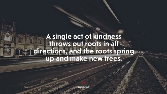 A single act of kindness throws out roots in all directions, and the roots spring up and make new trees. | Amelia Earhart quote