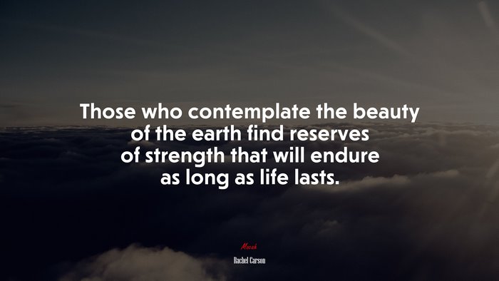 Those who contemplate the beauty of the earth find reserves of strength that will endure as long as life lasts. | Rachel Carson quote
