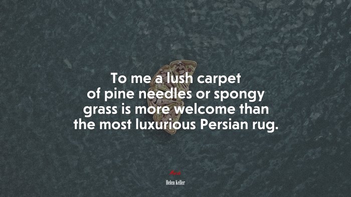 To me a lush carpet of pine needles or spongy grass is more welcome than the most luxurious Persian rug. | Helen Keller quote