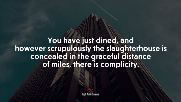 You have just dined, and however scrupulously the slaughterhouse is concealed in the graceful distance of miles, there is complicity. | Ralph Waldo Emerson quote