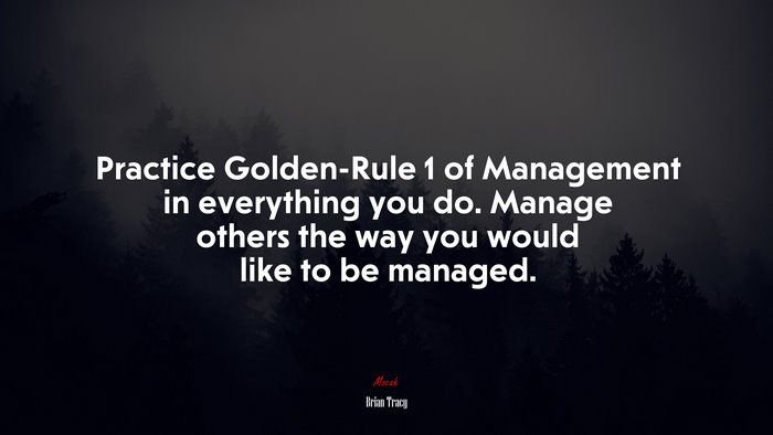 Practice Golden-Rule 1 of Management in everything you do. Manage others the way you would like to be managed. | Brian Tracy quote