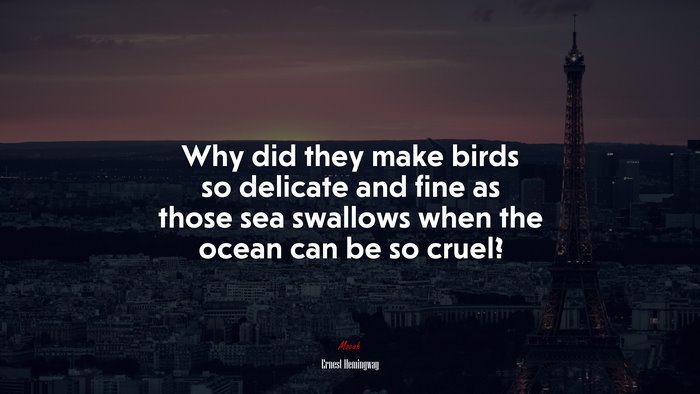 Why did they make birds so delicate and fine as those sea swallows when the ocean can be so cruel? | Ernest Hemingway quote