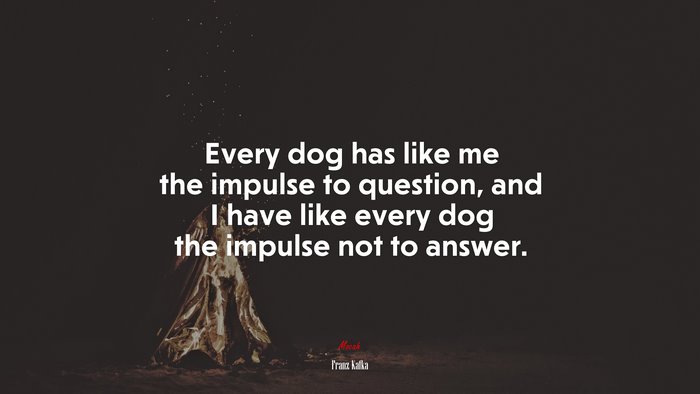 Every dog has like me the impulse to question, and I have like every dog the impulse not to answer. | Franz Kafka quote