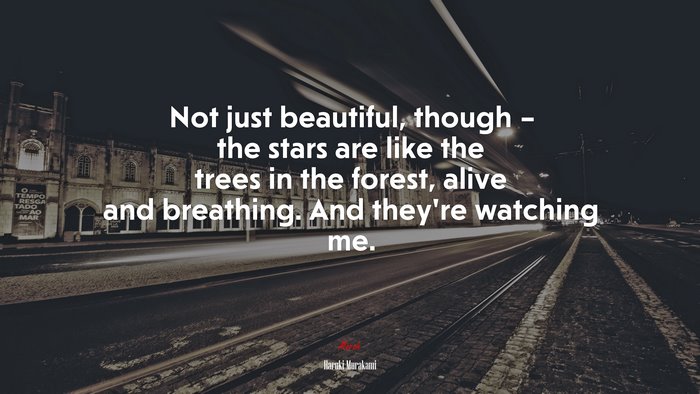 Not just beautiful, though – the stars are like the trees in the forest, alive and breathing. And they’re watching me. | Haruki Murakami quote