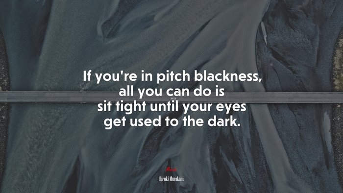 If you’re in pitch blackness, all you can do is sit tight until your eyes get used to the dark. | Haruki Murakami quote