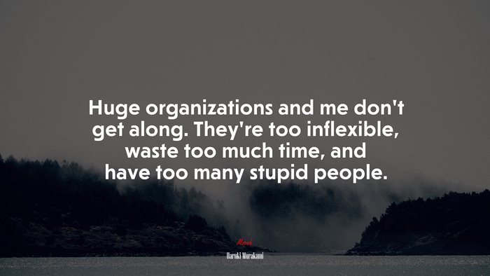 Huge organizations and me don’t get along. They’re too inflexible, waste too much time, and have too many stupid people. | Haruki Murakami quote