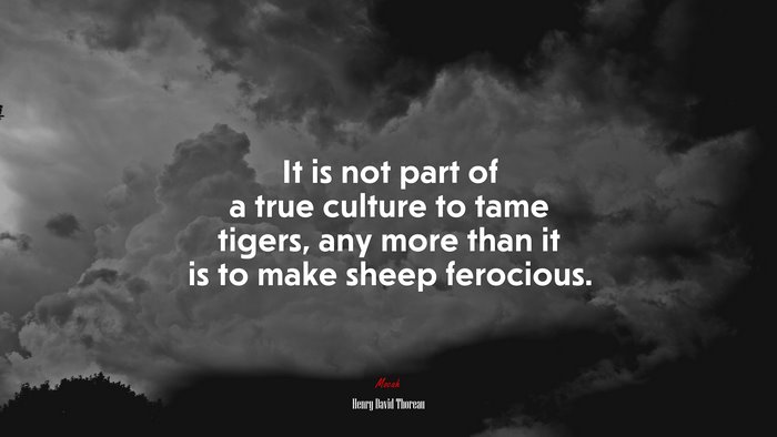 It is not part of a true culture to tame tigers, any more than it is to make sheep ferocious. | Henry David Thoreau quote