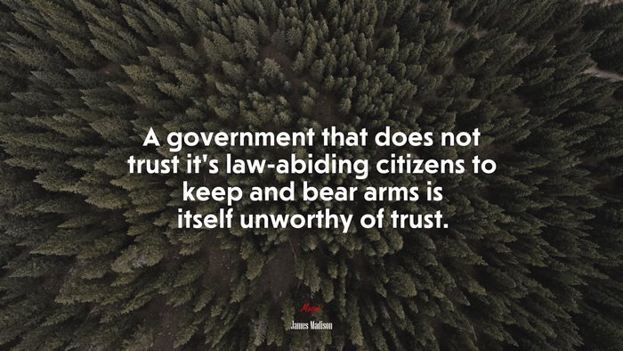 A government that does not trust it’s law-abiding citizens to keep and bear arms is itself unworthy of trust. | James Madison quote