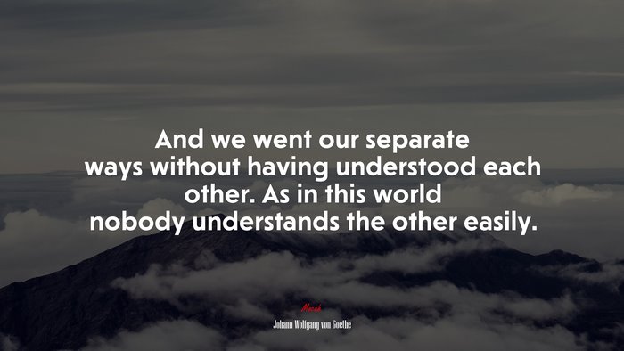 And we went our separate ways without having understood each other. As in this world nobody understands the other easily. | Johann Wolfgang von Goethe quote