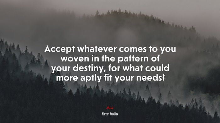 Accept whatever comes to you woven in the pattern of your destiny, for what could more aptly fit your needs? | Marcus Aurelius quote