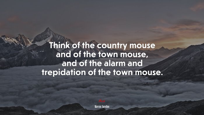 Think of the country mouse and of the town mouse, and of the alarm and trepidation of the town mouse. | Marcus Aurelius quote