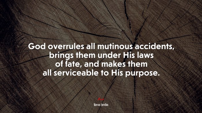 God overrules all mutinous accidents, brings them under His laws of fate, and makes them all serviceable to His purpose. | Marcus Aurelius quote