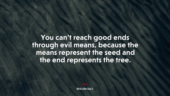 You can’t reach good ends through evil means, because the means represent the seed and the end represents the tree. | Martin Luther King Jr. quote