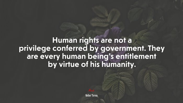 Human rights are not a privilege conferred by government. They are every human being’s entitlement by virtue of his humanity. | Mother Teresa quote