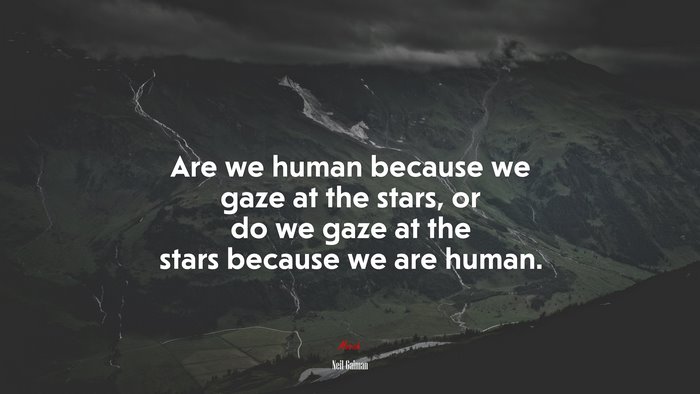 Are we human because we gaze at the stars, or do we gaze at the stars because we are human. | Neil Gaiman quote