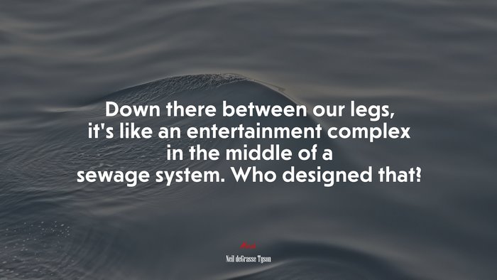 Down there between our legs, it’s like an entertainment complex in the middle of a sewage system. Who designed that? | Neil deGrasse Tyson quote