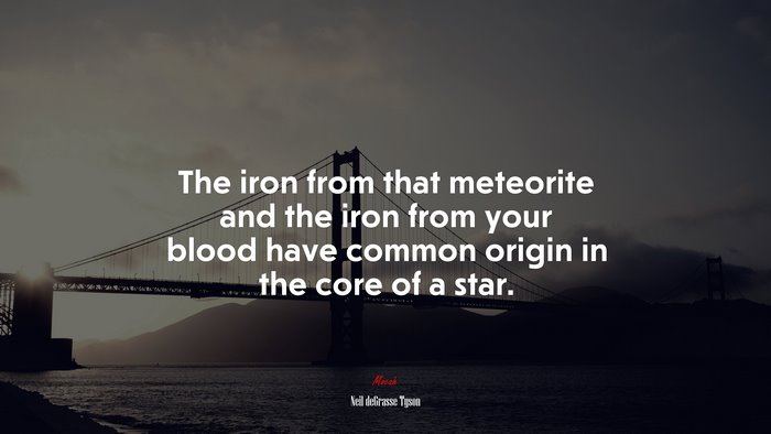 The iron from that meteorite and the iron from your blood have common origin in the core of a star. | Neil deGrasse Tyson quote
