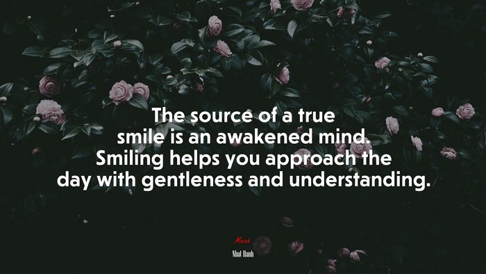The source of a true smile is an awakened mind. Smiling helps you approach the day with gentleness and understanding. | Nhat Hanh quote