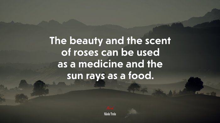 The beauty and the scent of roses can be used as a medicine and the sun rays as a food. | Nikola Tesla quote