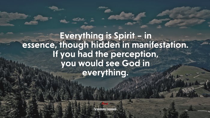 Everything is Spirit – in essence, though hidden in manifestation. If you had the perception, you would see God in everything. | Paramahansa Yogananda quote