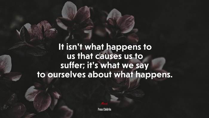 It isn’t what happens to us that causes us to suffer; it’s what we say to ourselves about what happens. | Pema Chödrön quote