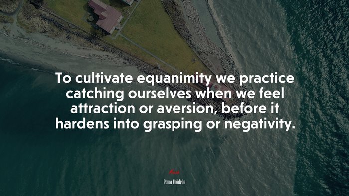 To cultivate equanimity we practice catching ourselves when we feel attraction or aversion, before it hardens into grasping or negativity. | Pema Chödrön quote